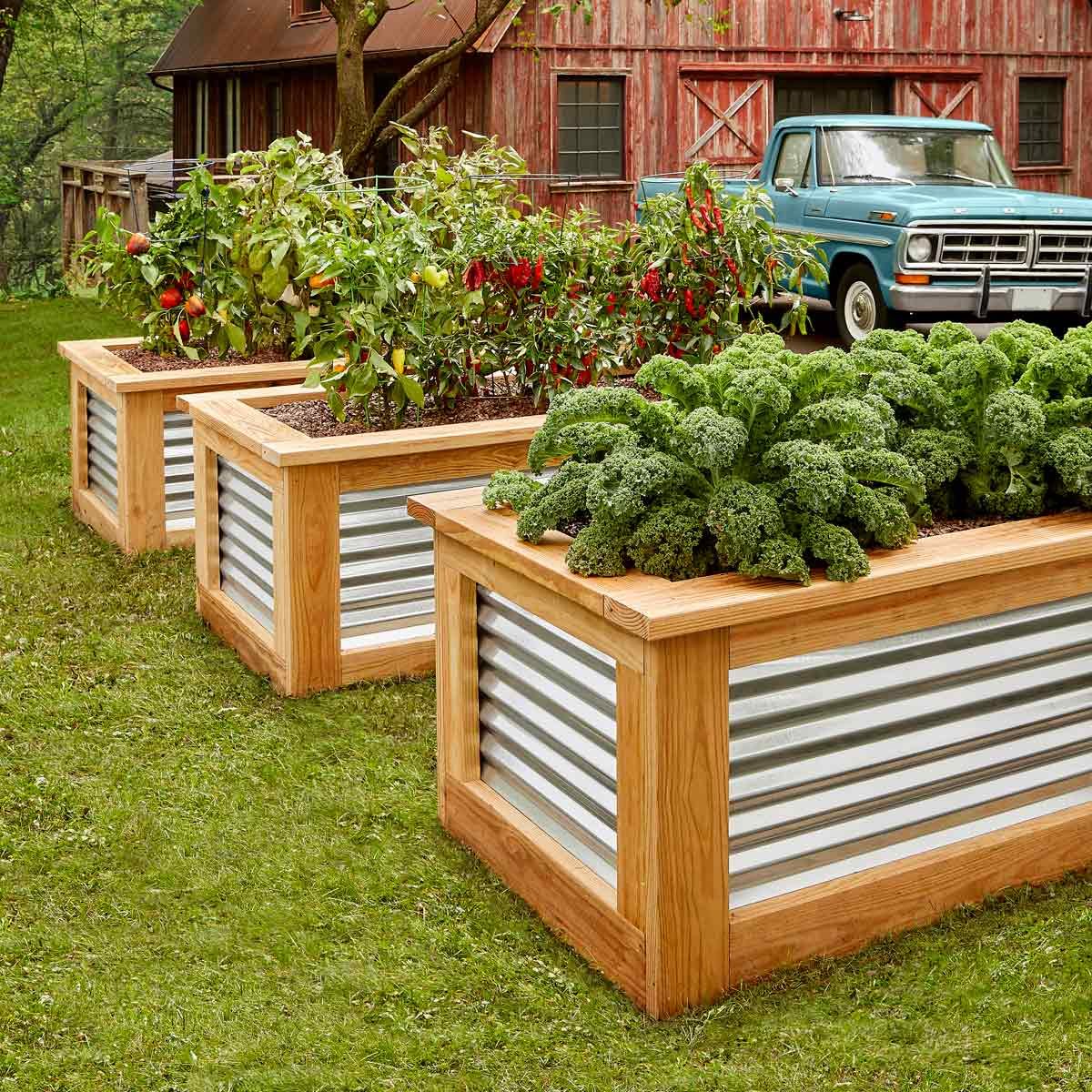 raised garden beds made from corrugated metal boards